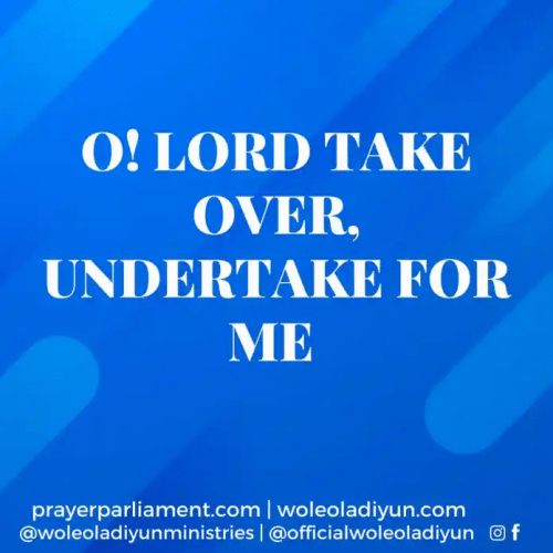 Read more about the article O! Lord, take over, undertake for me, by Pastor Wole Oladiyun