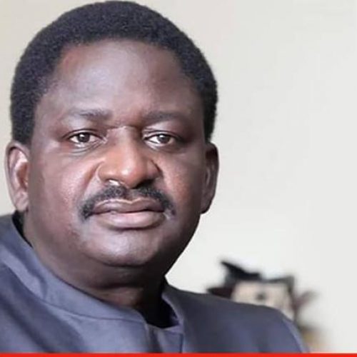 Why Buhari didn’t approve Fayose’s impeachment —Adesina
