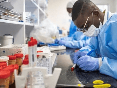 Read more about the article FG’s Biovaccines Nigeria Ltd to commence vaccine production by Q2 2023