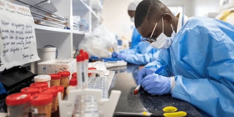 You are currently viewing FG’s Biovaccines Nigeria Ltd to commence vaccine production by Q2 2023