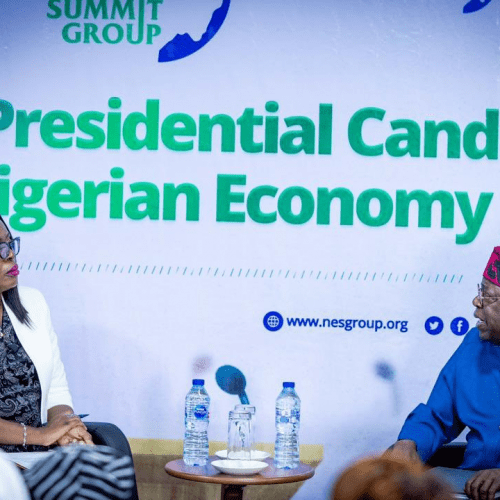 Read more about the article Tinubu presents economic plans at NESG presidential dialogue