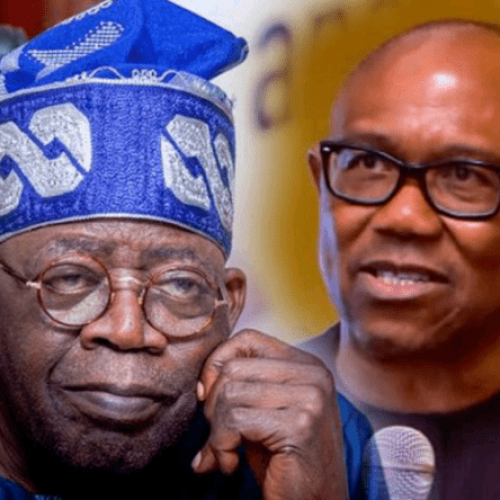 Adamawa LP gov candidate dumps Obi for Tinubu