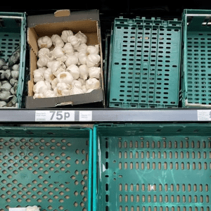 image 66