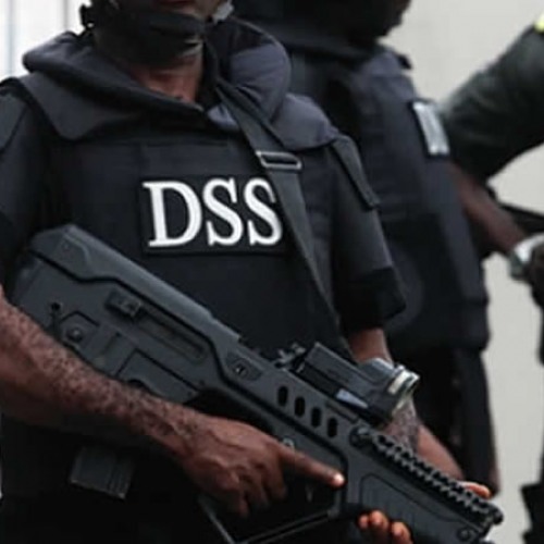 DSS uncovers plans to cause unrest
