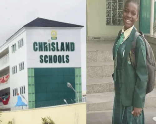 Read more about the article Lagos govt to prosecute Chrisland School over student’s death