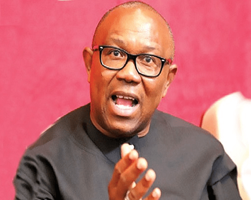 Read more about the article The Peter Obi revolution that atrophied midway, by Femi Orebe