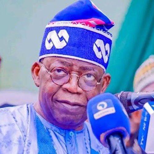 Read more about the article Here is how Bola Tinubu can add $90 billion to GDP in 2 years