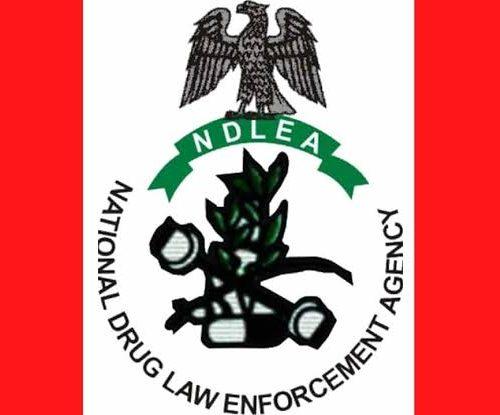 Read more about the article NDLEA Replies PDP, Lists Legal Grounds Why It Can’t Arrest, Prosecute Tinubu