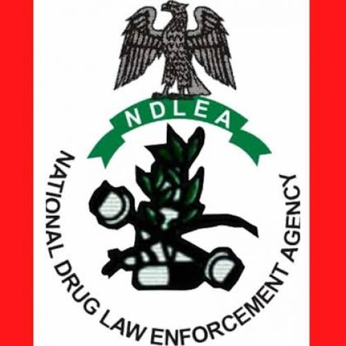 NDLEA Replies PDP, Lists Legal Grounds Why It Can’t Arrest, Prosecute Tinubu