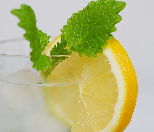 Read more about the article 7 Benefits of Starting your Day with Lemon Water