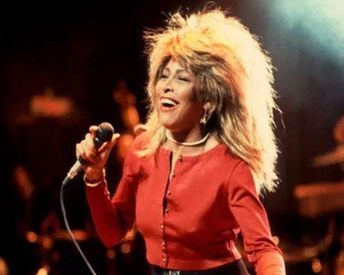 Read more about the article Tina Turner final words with fans before death unearthed