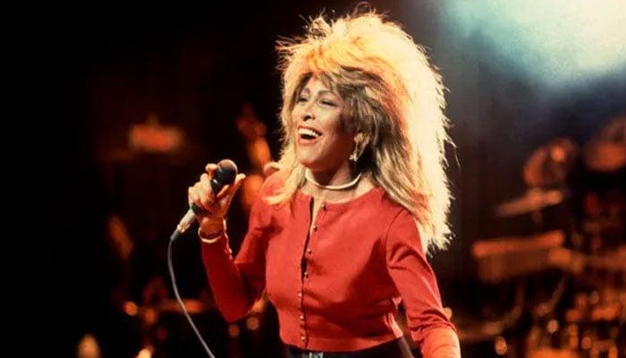 You are currently viewing Tina Turner final words with fans before death unearthed