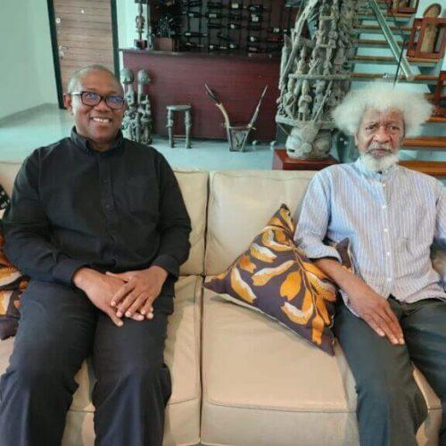 Read more about the article A Visitation, and the Allure of “Reconciliation” by Wole Soyinka