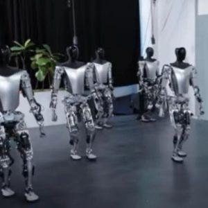 Tesla-Bot