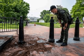 Read more about the article Driver who crashed near White House told officials he was prepared to kill Biden and ‘seize power’