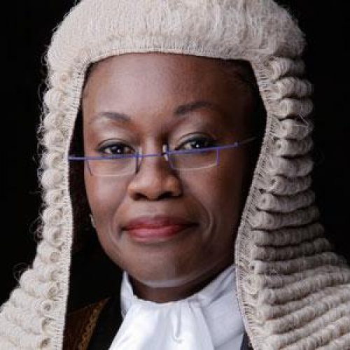 I Failed Class Test in America for Disagreeing that Africans Lived on Trees – Funke Aboyade, SAN