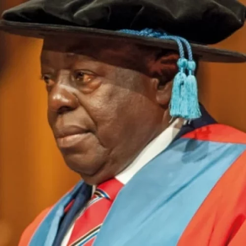 The incoming administration should prioritise debt forgiveness – Afe Babalola