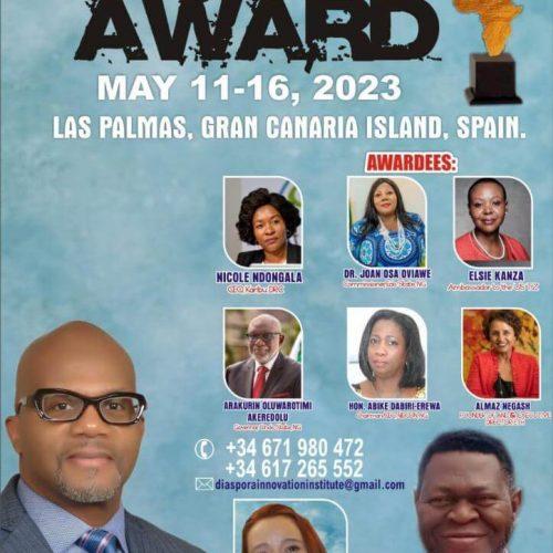 Read more about the article African Diaspora Champion Award