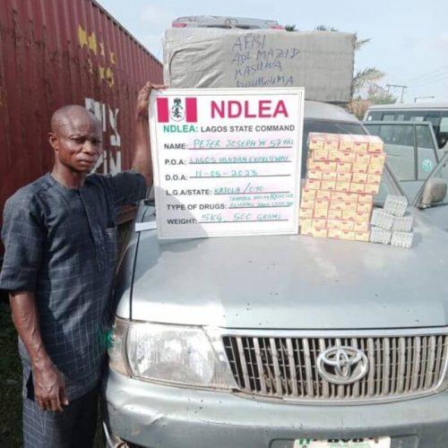 Read more about the article Two Businessmen Excrete 193 Cocaine Pellets In NDLEA Custody