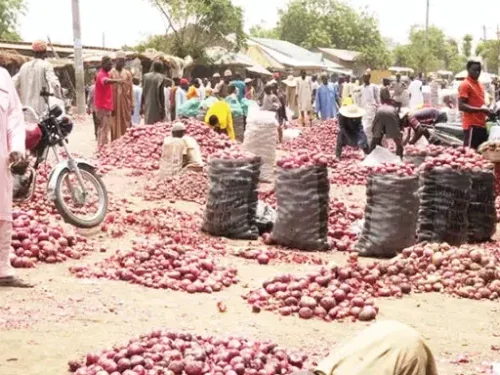 Read more about the article Nigeria Loses $420m Annually Due To Onions Scarcity