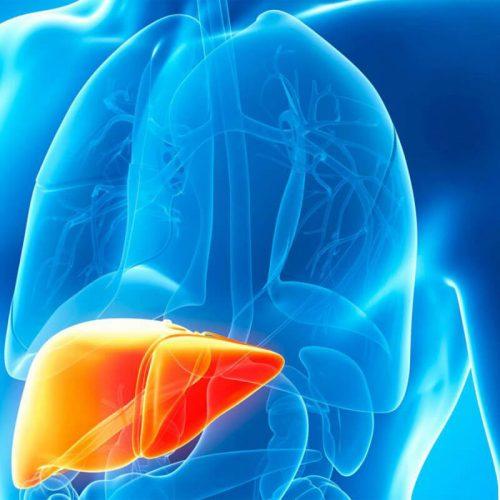Read more about the article Dangerous habits that can damage your liver