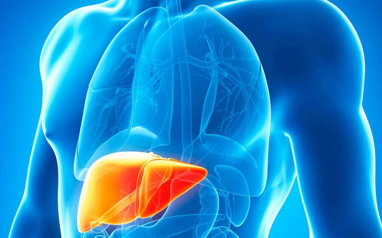 You are currently viewing Dangerous habits that can damage your liver