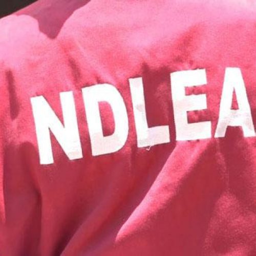 NDLEA Arrests Woman Using Fake Pregnancy To Traffic Cocaine