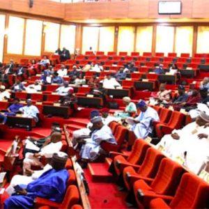 Nigerian-Senate