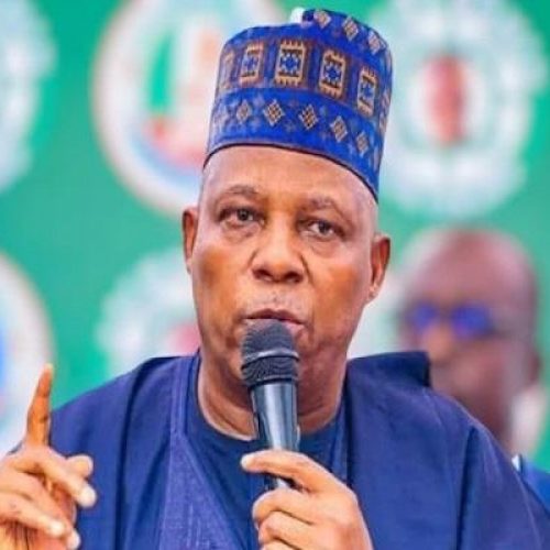 Fuel subsidy will end Nigeria if we don’t end it – Shettima