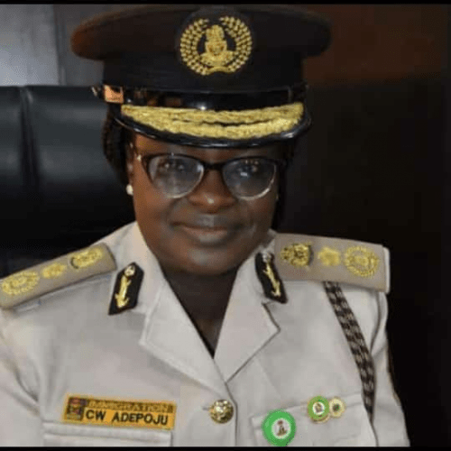 Read more about the article FG Appoints Wura Adepoju Acting Comptroller-General of Immigration 