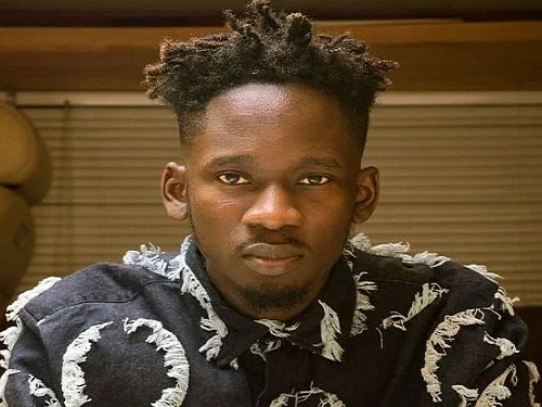 Read more about the article From the Garden City to New York; How Mr Eazi made it