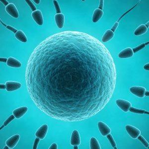 Alarming decrease in sperm quality in Nigeria, South Africa 3 sperm