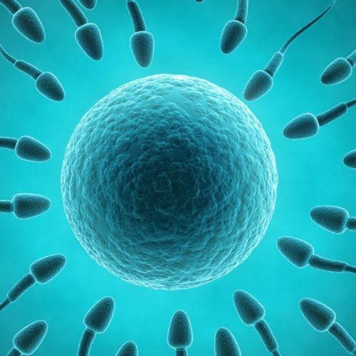 Read more about the article Alarming decrease in sperm quality in Nigeria, South Africa