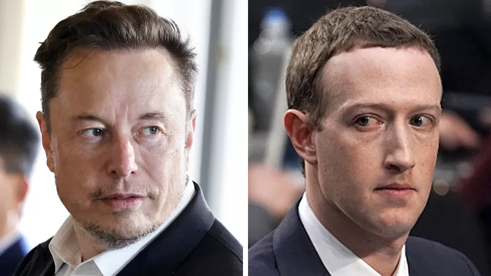 You are currently viewing Elon Musk and Mark Zuckerberg agree to hold cage fight