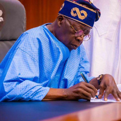 Read more about the article Tinubu inaugurates NEC, says no excuse for failure