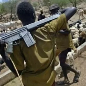 Armed Fulani herdsmen edited