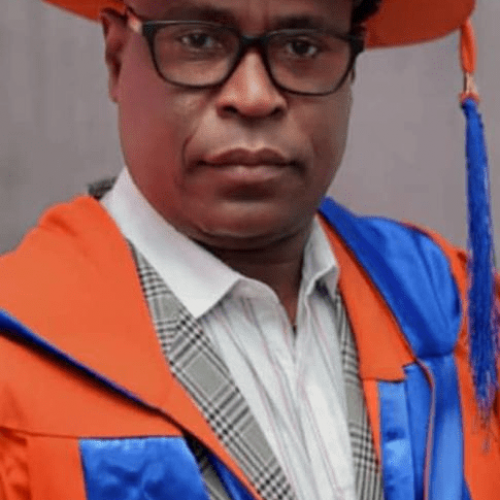 Meet Dr. Bright Ajibade, the experienced Statistician