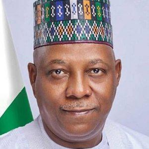 Kashim Shettima Vice Presidential portrait