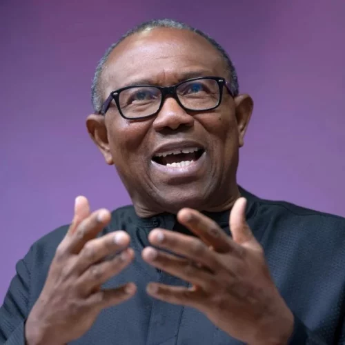 Read more about the article N2.17 Trillion supplementary budget is lavish indulgence – Peter Obi