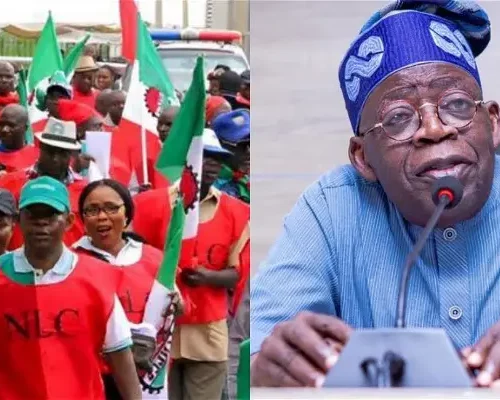 Read more about the article Tinubu has immediate solution for effect of subsidy removal – Oshiomhole