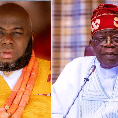 Read more about the article Tinubu receives Asari Dokubo, others in Aso Rock