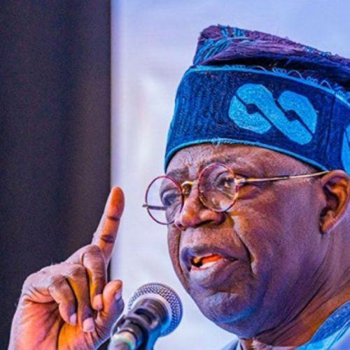 Read more about the article Tinubu says power sector privatisation has failed, seeks N2trillion recapitalisation of  distribution companies
