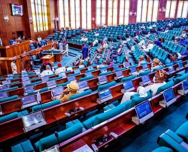 You are currently viewing Japa: Reps vote against anti-migration motion