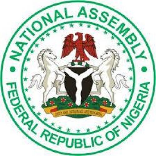 NASS leadership election and consequences
