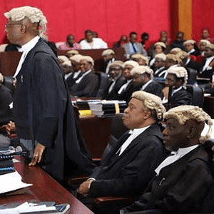 tribunal court 1
