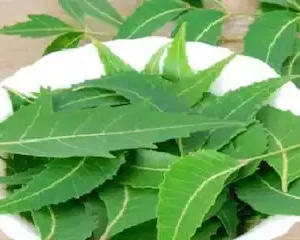 untitled design 2023 06 24t144842.038 16875983273x2 1