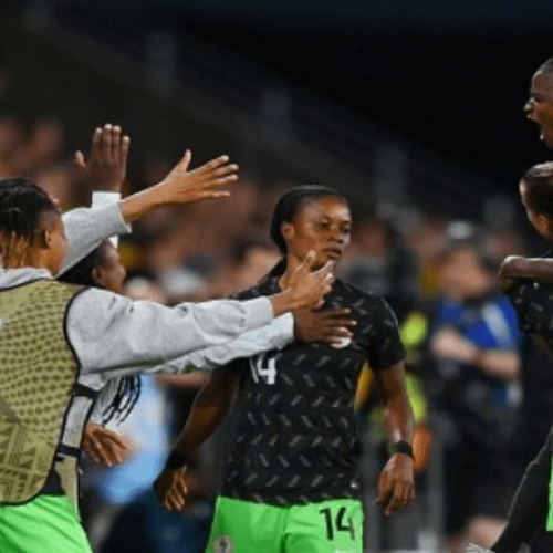 How we plotted Australia’s fall –Falcons