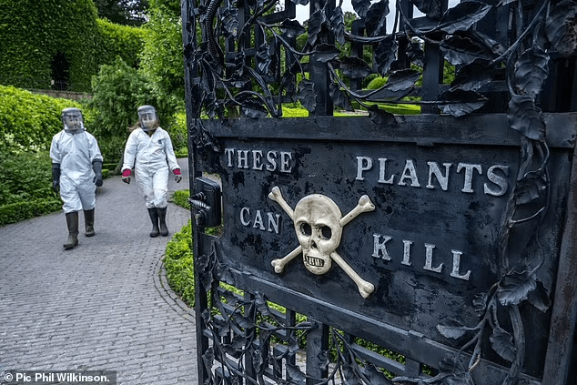 You are currently viewing ‘It feels like hot acid on the skin’: Poison Garden at Alnwick Castle, where Harry Potter was filmed, unveils ‘most venomous plant in the world’