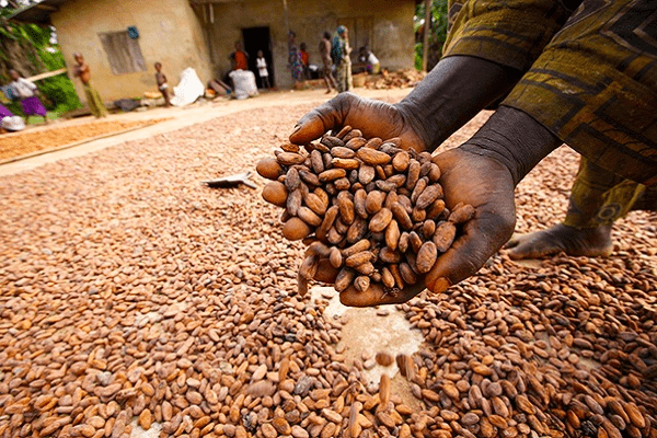 You are currently viewing US removes export duties on Nigeria’s cocoa, other products