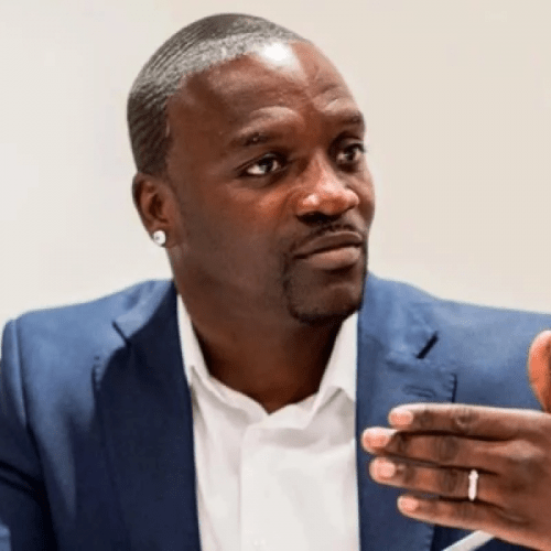 Read more about the article Nigerians are among the world’s smartest people – Akon